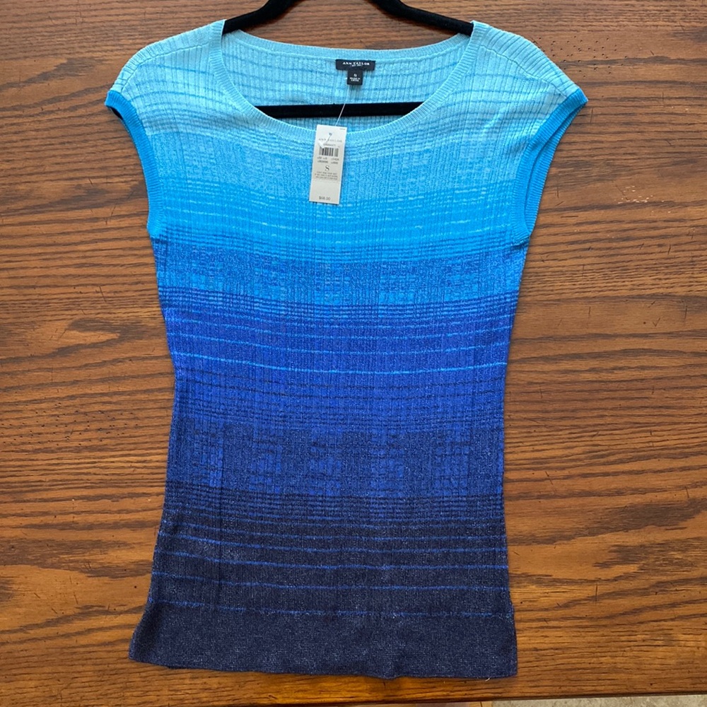 Ann Taylor Top